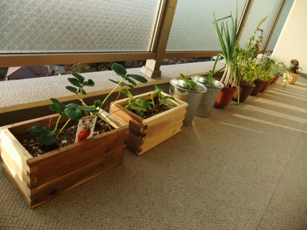 DSCF1042.JPG DSCF1042.JPG