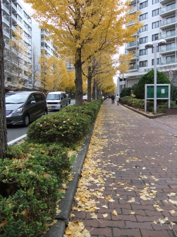DSCF1070.JPG