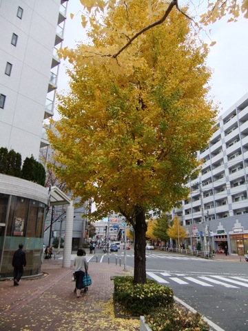 DSCF1073.JPG