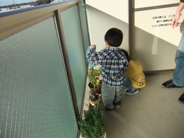 DSCF1162.JPG DSCF1162.JPG