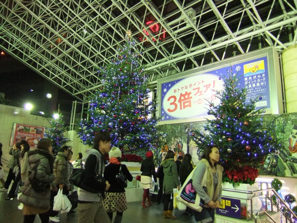 DSCF1193.JPG DSCF1193.JPG