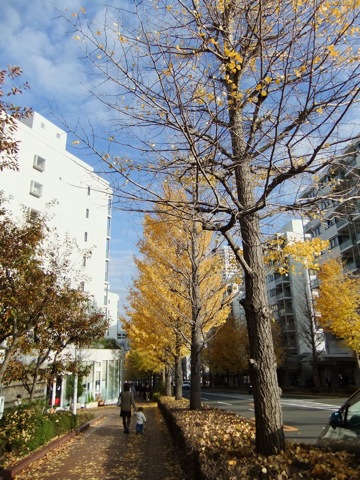 DSCF1202.JPG DSCF1202.JPG