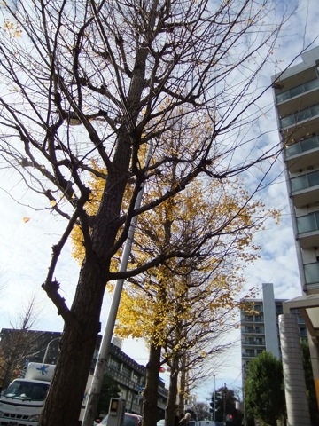 DSCF1203.JPG DSCF1203.JPG