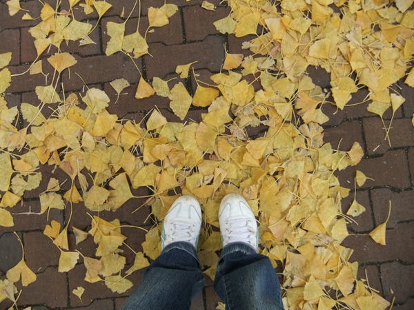 DSCF1213.JPG DSCF1213.JPG