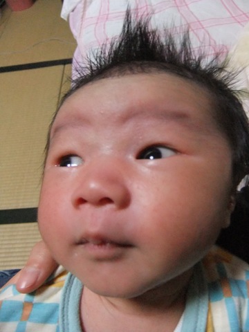 DSCF1226.JPG DSCF1226.JPG