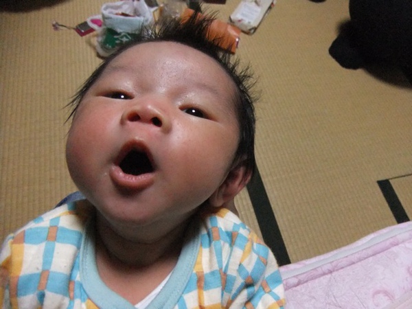 DSCF1227.JPG DSCF1227.JPG