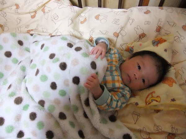 DSCF1229.JPG DSCF1229.JPG