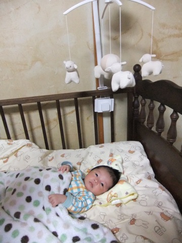 DSCF1231.JPG DSCF1231.JPG