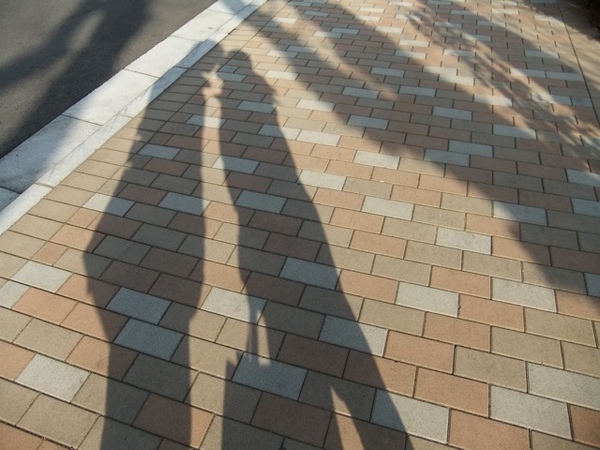 DSCF1269.JPG DSCF1269.JPG