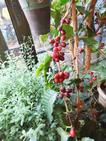 DSCF1286.JPG DSCF1286.JPG