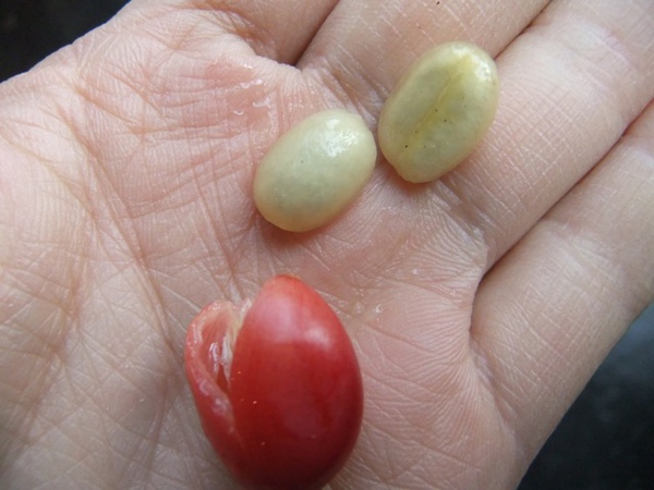 DSCF1291.JPG DSCF1291.JPG