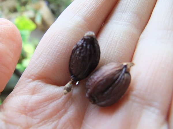 DSCF1288.JPG DSCF1288.JPG