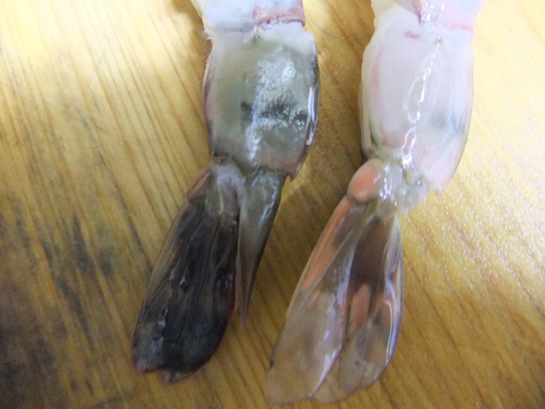 DSCF1241.JPG DSCF1241.JPG