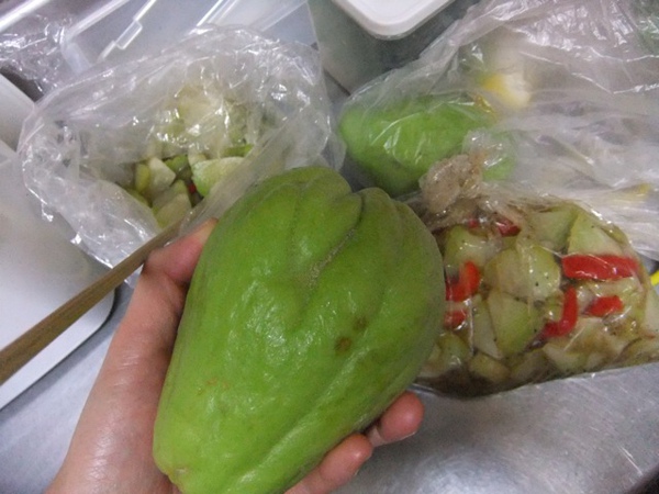 DSCF1354.JPG DSCF1354.JPG