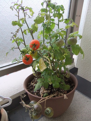 DSCF1242.JPG