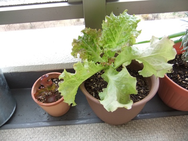 DSCF1249.JPG