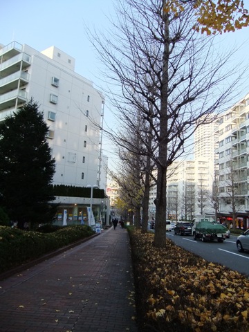 DSCF1393.JPG DSCF1393.JPG