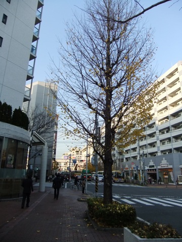 DSCF1394.JPG DSCF1394.JPG