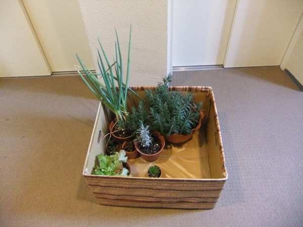 DSCF1399.JPG DSCF1399.JPG