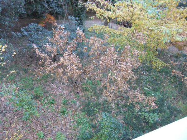 DSCF1390.JPG