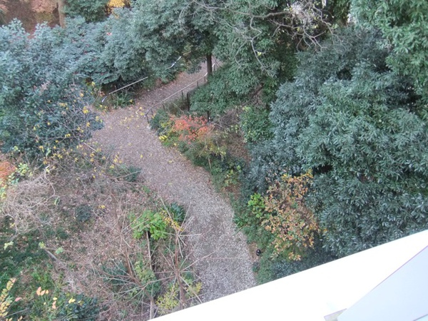 DSCF1391.JPG