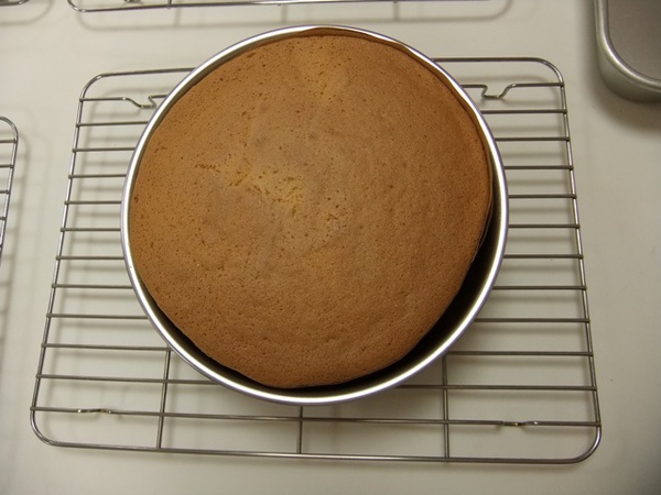 DSCF1414.JPG DSCF1414.JPG