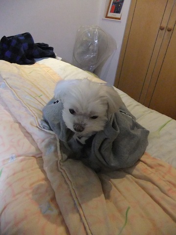 DSCF1889.JPG
