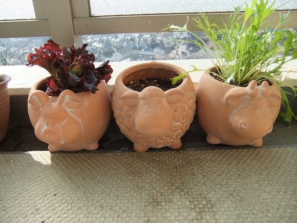 DSCF2538.JPG