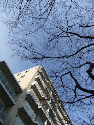 DSCF3031.JPG