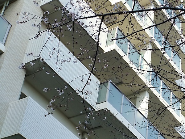 DSCF3032.JPG