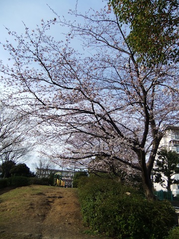 DSCF3034.JPG