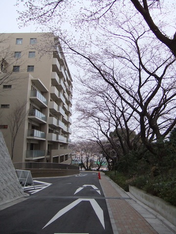 DSCF3046.JPG