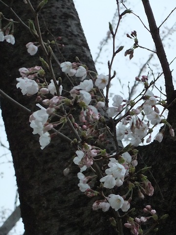 DSCF3051.JPG