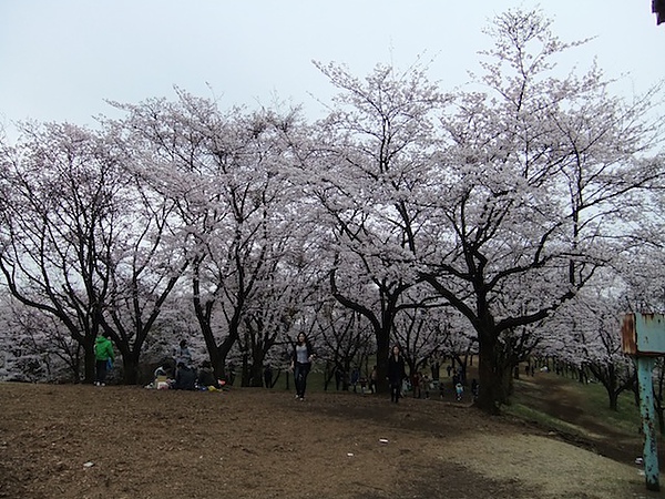 DSCF3103.JPG