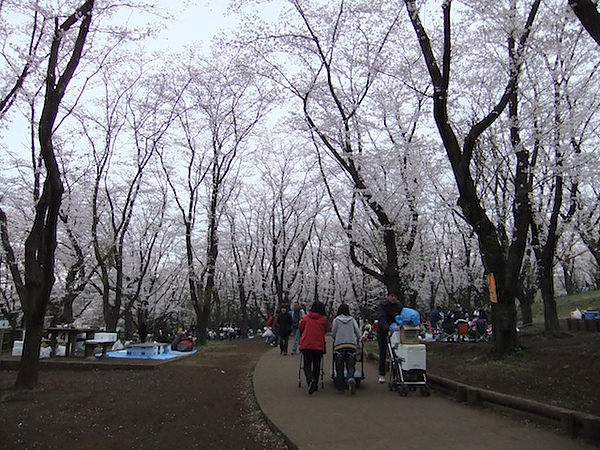 DSCF3106.JPG