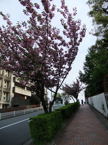 DSCF3218.JPG