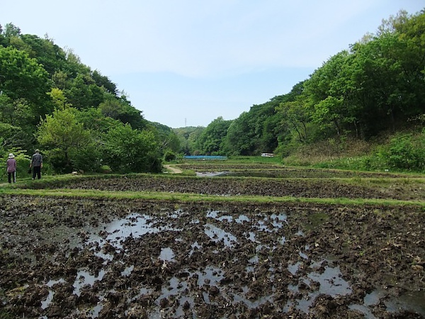 DSCF3235.JPG