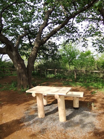DSCF3239.JPG