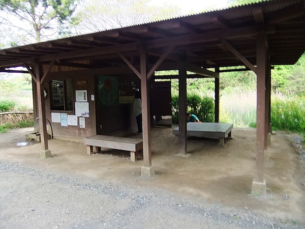 DSCF3242.JPG