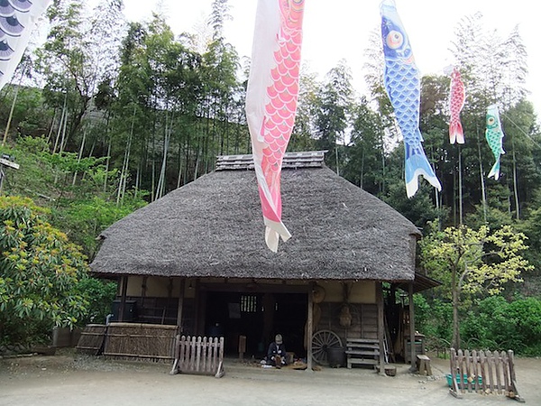 DSCF3258.JPG