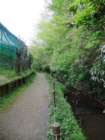 DSCF3270.JPG