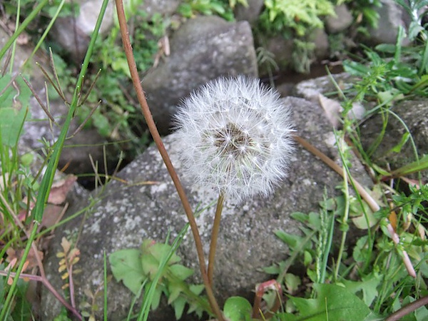 DSCF3273.JPG