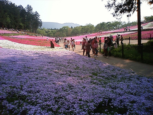 DCF_0029.JPG