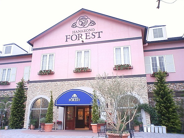 DCF_0035.JPG