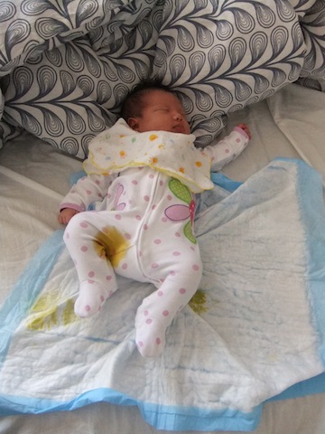 DSCF5357.JPG