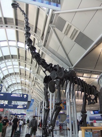 DSCF4222.JPG