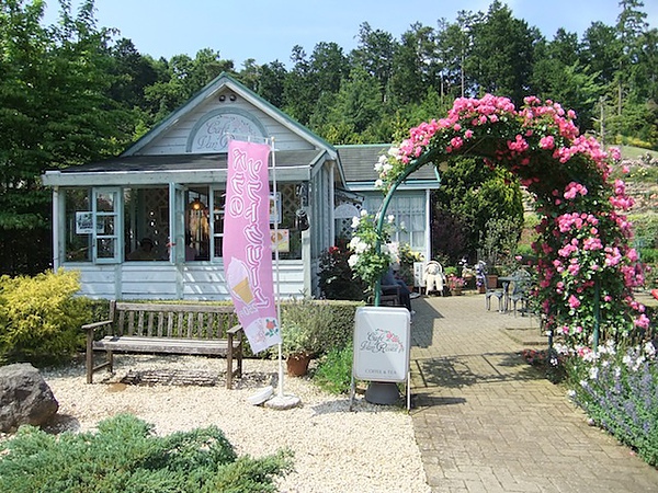 DSCF3446.JPG