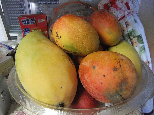 DSCF3619.JPG