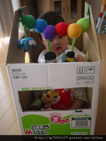 P1010283.JPG