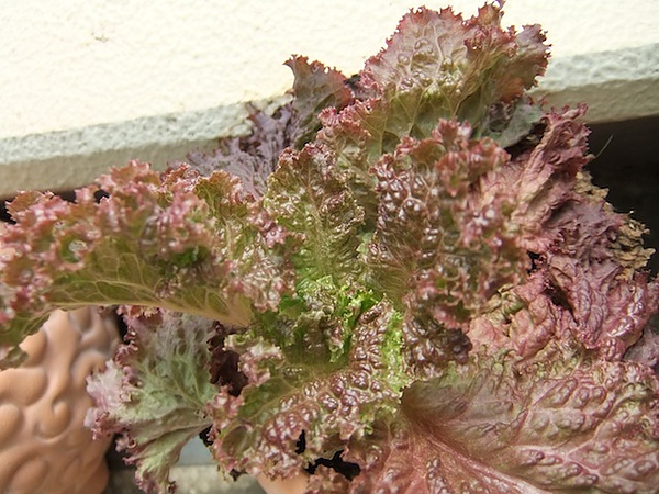 DSCF3395.JPG